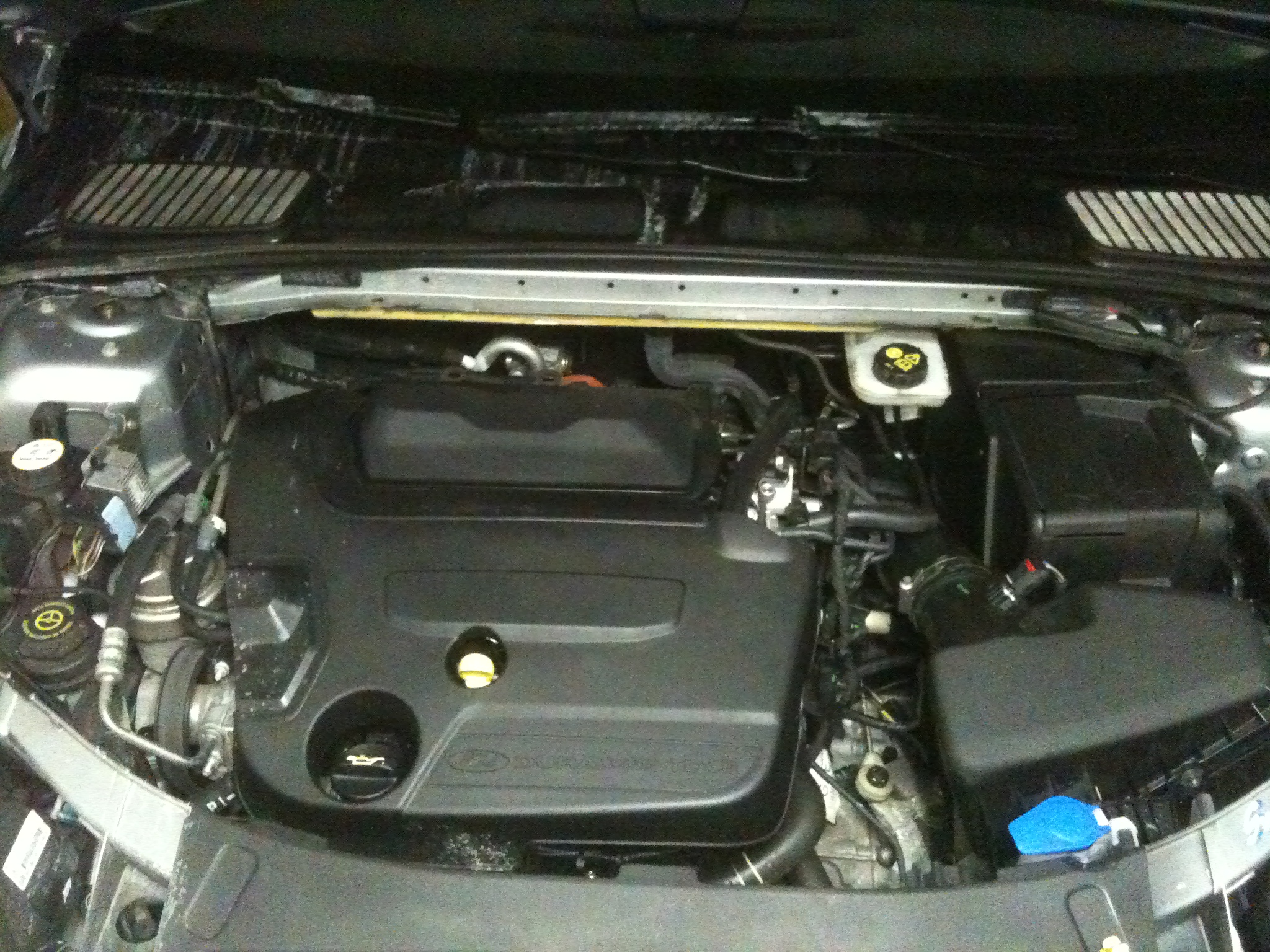 Ford herzberg elster #3